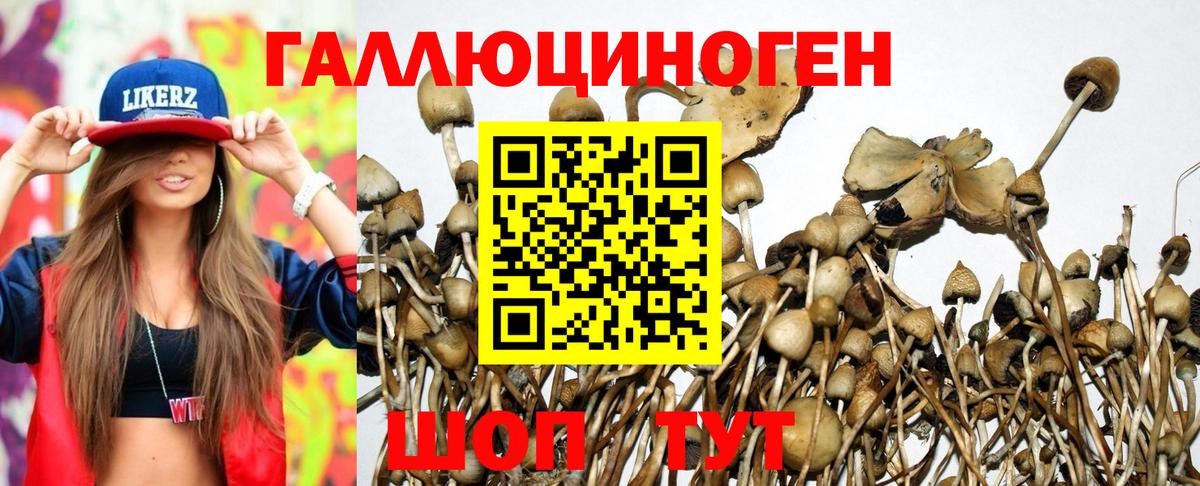 Галлюциногенные грибы GOLDEN TEACHER Зеленогорск