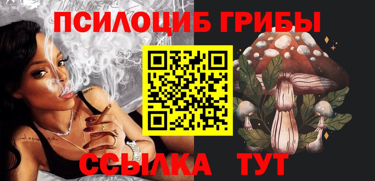 Зеленогорск  Галлюциногенные грибы MAGIC MUSHROOMS  Вход с VPN 